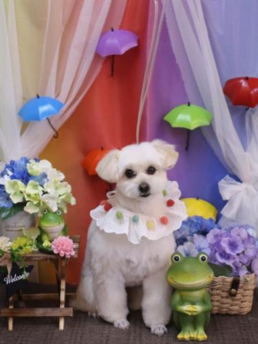 20230624うみちゃん